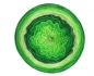Preview: Farbvariante LIME
